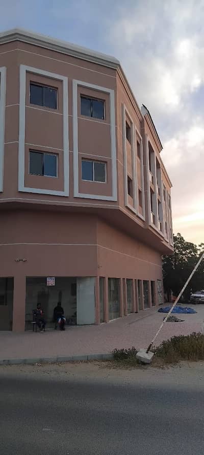 10+ Beds Building for Rent in Al Rawda, Ajman - 1fa296f7-c268-41ed-95c4-839c1ed29c85. jpg 10+ Beds Building for Rent in Al Rawda, Ajman - 1fa296f7-c268-41ed-95c4-839c1ed29c85. jpg