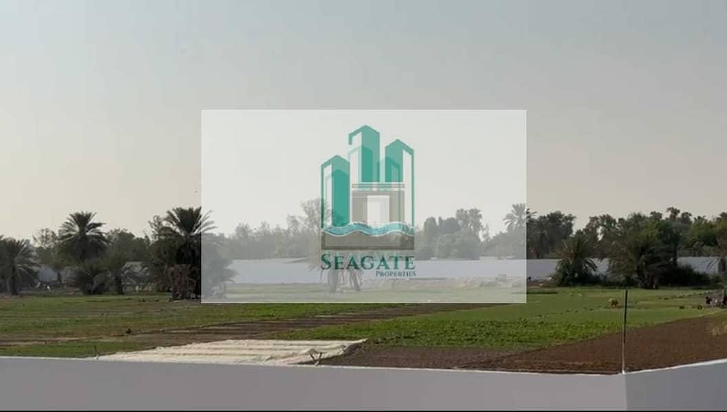 3 WhatsApp Image 2026-07-31 at 12.38. 44 PM (1). jpeg