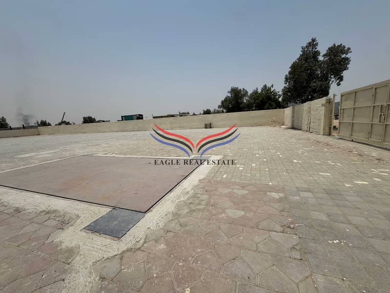 5 10955. jpg