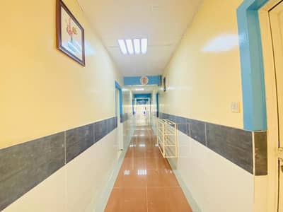 Labour Camp for Rent in Musaffah, Abu Dhabi - 1 (8). jpeg Labour Camp for Rent in Musaffah, Abu Dhabi - 1 (8). jpeg