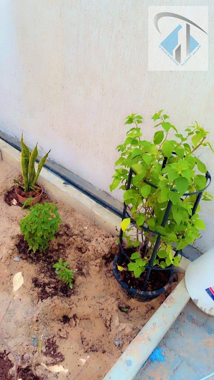 11 WhatsApp Image 2026-08-04 at 9.21. 49 AM. jpeg