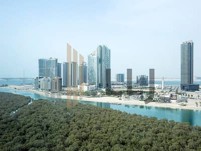 Studio de  à à louer à Al Reem Island, Abu Dhabi - 0S4A7783_1775135967012_1775545516973. jpg