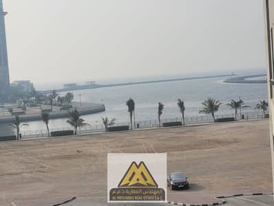 Appartement de 1 chambre à à louer à Liwara 1, Ajman - f12be57f-f9e3-4674-99da-caa0c0d7d1e6. jpg
