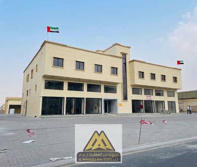 Showroom for Rent in Al Jurf, Ajman - WhatsApp Image 2026-07-15 at 3.59. 48 PM. jpeg Showroom for Rent in Al Jurf, Ajman - WhatsApp Image 2026-07-15 at 3.59. 48 PM. jpeg