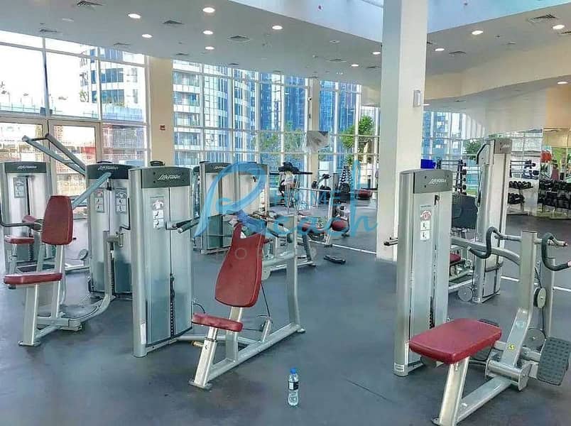 8 Gym hydra. png
