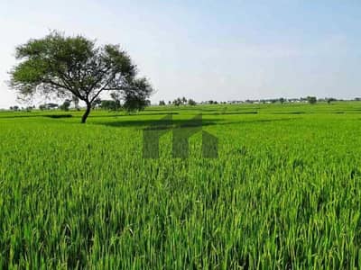 Other Commercial de  à à vendre à Sweihan, Al Ain - Autre commercial à Sweihan, 1500000 AED - 16062009