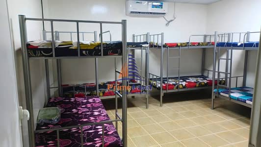 Labour Camp for Rent in Mohamed Bin Zayed City, Abu Dhabi - 110 M40 room. png Labour Camp for Rent in Mohamed Bin Zayed City, Abu Dhabi - 110 M40 room. png