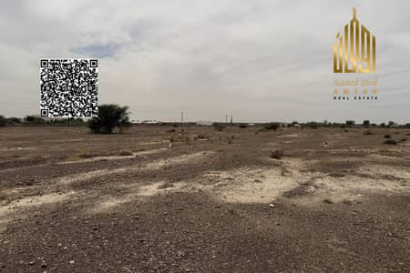 Plot zum zum Verkauf in Al Manama, Ajman - Grundstück in Al Manama, 350000 AED - 16063168