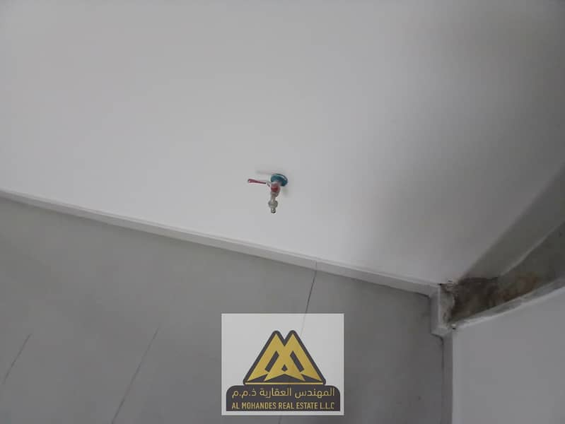 7 246b2ace-de48-430b-ae34-259ee548d178. jpg