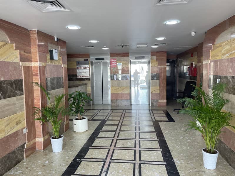 2 IMG_7135. JPG