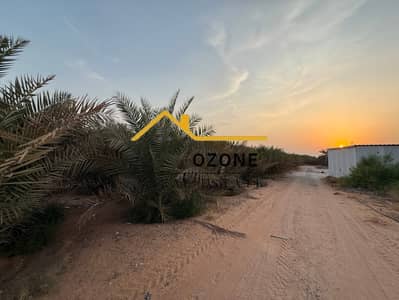 ارض استخدام متعدد للايجار في الزبير، الشارقة - WhatsApp Image 2026-08-04 at 8.45. 00 PM. jpeg ارض استخدام متعدد للايجار في الزبير، الشارقة - WhatsApp Image 2026-08-04 at 8.45. 00 PM. jpeg