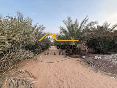 ارض تجارية للايجار في الزبير، الشارقة - IMG_3414. jpg ارض تجارية للايجار في الزبير، الشارقة - IMG_3414. jpg
