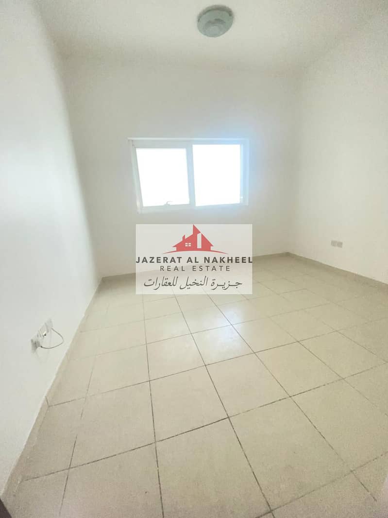 3 213500. jpg
