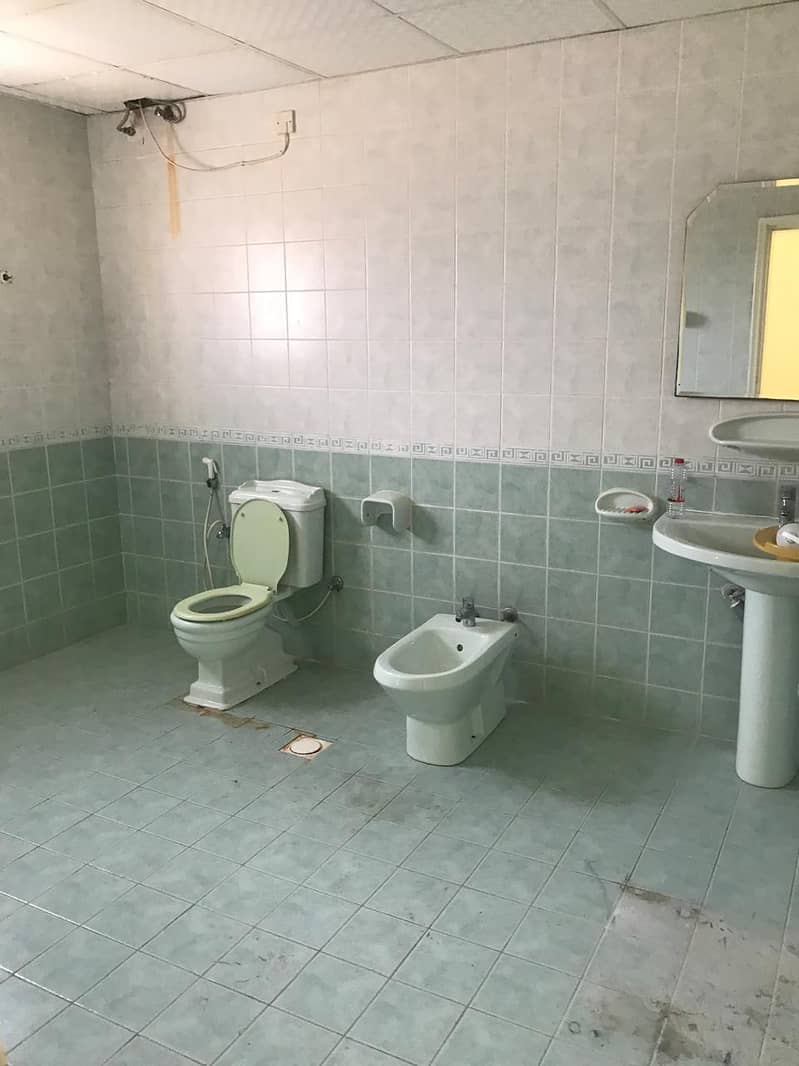 7 1001357803. jpg