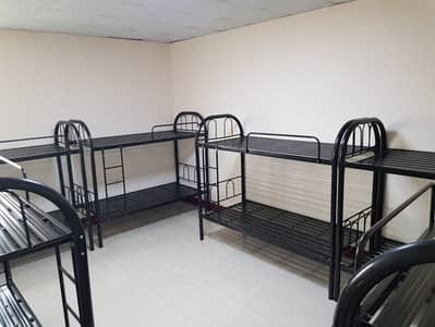 Labour Camp for Rent in Musaffah, Abu Dhabi - BEDROOM Labour Camp for Rent in Musaffah, Abu Dhabi - BEDROOM