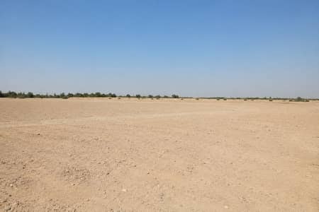 Plot for Sale in Muzairah, Sharjah - 71c7655d-fc94-447b-9cfb-9c0b85258d0d. png Plot for Sale in Muzairah, Sharjah - 71c7655d-fc94-447b-9cfb-9c0b85258d0d. png