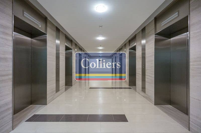12 Image-13. jpg