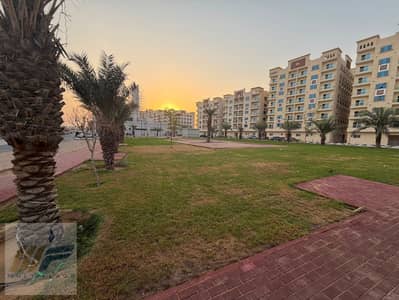 2 Schlafzimmer Wohnung zum zum Verkauf in Al Yasmeen, Ajman - bf0baa99-de0f-4533-acaf-6fa7d0a57090. jpg 2 Schlafzimmer Wohnung zum zum Verkauf in Al Yasmeen, Ajman - bf0baa99-de0f-4533-acaf-6fa7d0a57090. jpg