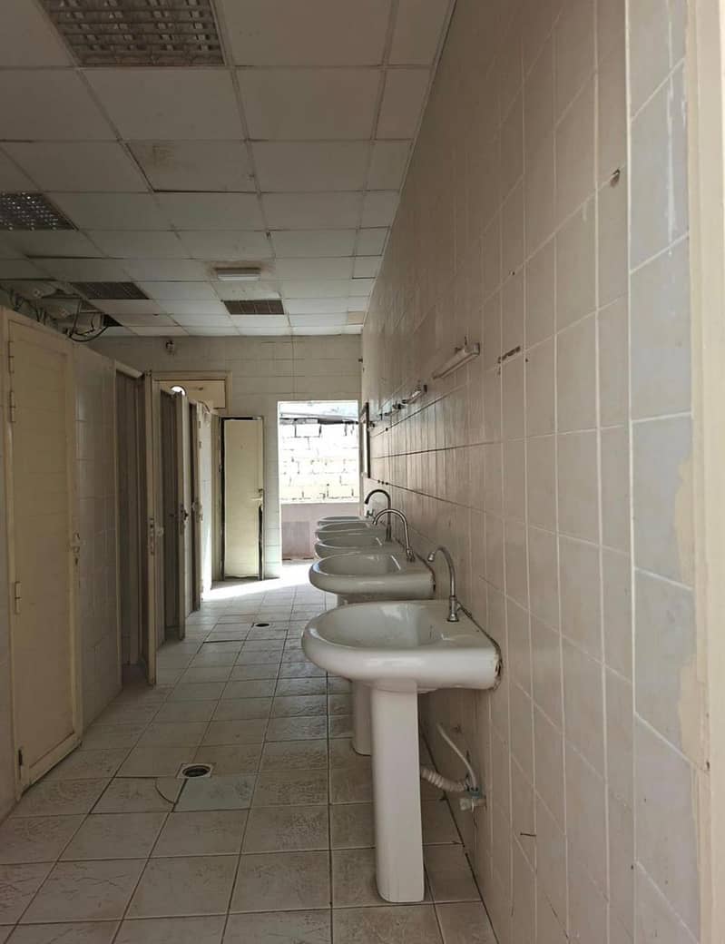 4 172191. jpg