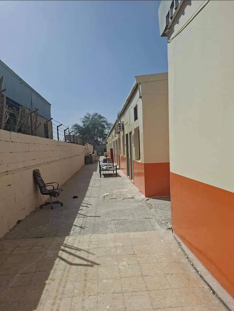 5 172190. jpg