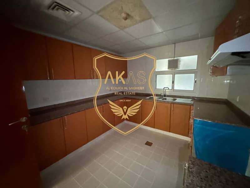 7 PHOTO-2026-08-05-15-55-45 2. jpg
