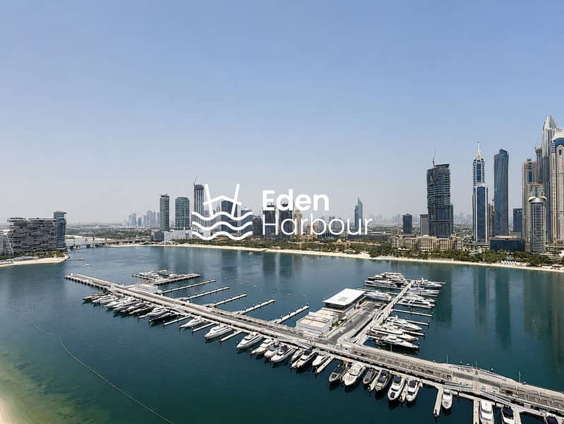 10 C2909DA6-EE84-4B26-96F7-1E17B189780E. PNG