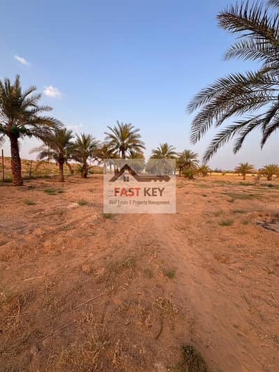 Mixed Use Land de  à à vendre à Remah, Al Ain - WhatsApp Image 2026-08-05 at 6.45. 28 PM. jpeg