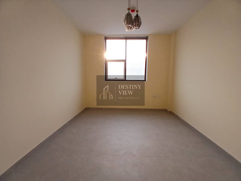 4 91537. jpg