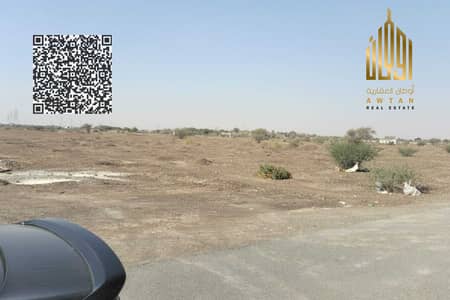 Plot zum zum Verkauf in Al Manama, Ajman - Grundstück in Al Manama, 125000 AED - 16086886