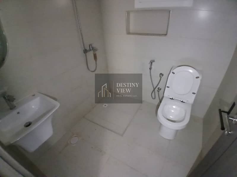 11 80995. jpg
