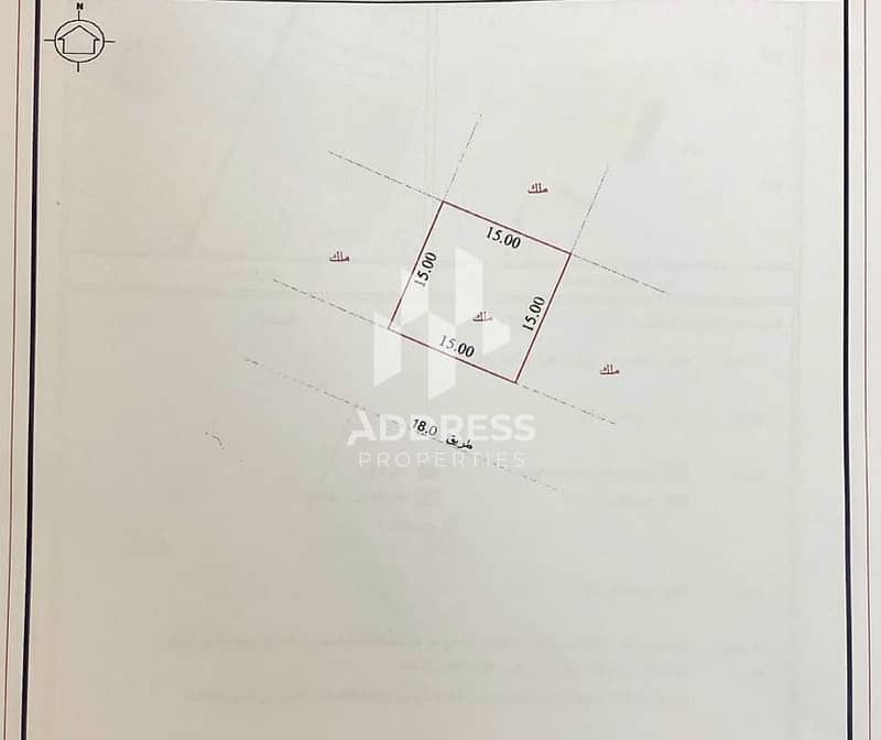 2 533. jpg