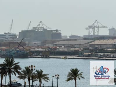 1 habitación Apartamento para en Alquiler en Al Mujarrah, Sharjah - WhatsApp Image 2026-08-06 at 3.19. 13 PM. jpeg