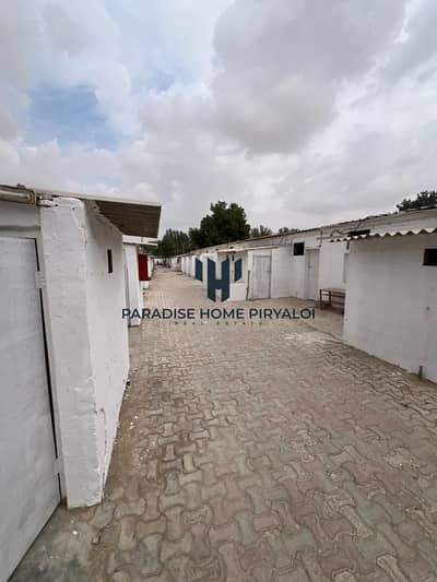 Labour Camp te Huur in Al Ajban, Al Ain - WhatsApp Image 2025-12-27 at 10.53. 59 PM. jpeg