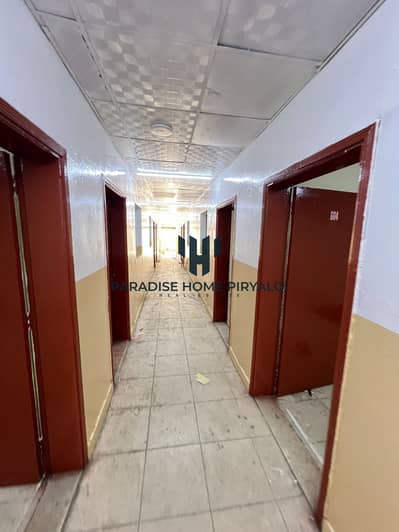 Labour Camp for Rent in Al Samha, Abu Dhabi - WhatsApp Image 2025-08-26 at 12.13. 58_4e549846. jpg
