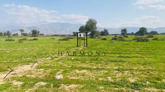 Plot in vendita a Al Degdaga, Ras Al Khaimah - IMG-20250711-WA0034 (1). jpg Plot in vendita a Al Degdaga, Ras Al Khaimah - IMG-20250711-WA0034 (1). jpg