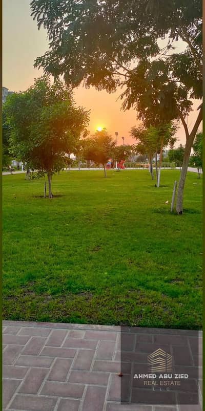 Monolocale in affitto a Al Yasmeen, Ajman - WhatsApp Image 2026-07-08 at 3.09. 25 AM. jpeg Monolocale in affitto a Al Yasmeen, Ajman - WhatsApp Image 2026-07-08 at 3.09. 25 AM. jpeg