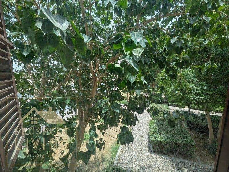 3 PXL_20250805_081500488. jpg