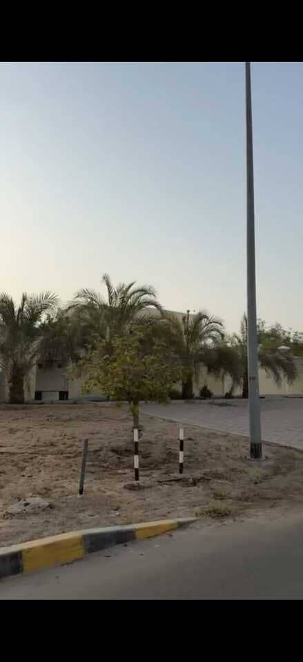 6 WhatsApp Image 2026-08-07 at 6.58. 42 AM (2). jpeg
