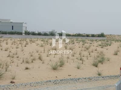 ارض سكنية للبيع في حوشي، الشارقة - IMG-20250619-WA0006. jpg ارض سكنية للبيع في حوشي، الشارقة - IMG-20250619-WA0006. jpg