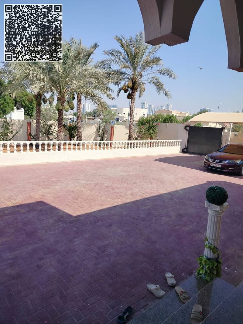 4 1000478464. jpg