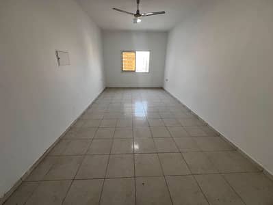 استوديو للايجار في النعيمية، عجمان - WhatsApp Image 2026-08-08 at 1.23. 22 PM. jpeg استوديو للايجار في النعيمية، عجمان - WhatsApp Image 2026-08-08 at 1.23. 22 PM. jpeg