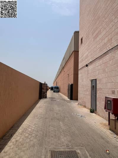 Warehouse de à à louer à Al Ramlah, Umm Al Quwain - WhatsApp Image 2026-08-08 at 2.57. 08 PM. jpeg Warehouse de à à louer à Al Ramlah, Umm Al Quwain - WhatsApp Image 2026-08-08 at 2.57. 08 PM. jpeg