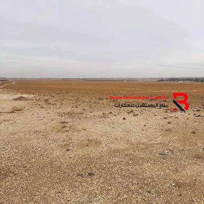 Plot de  à à vendre à Al Jimi, Al Ain - WhatsApp Image 2026-06-18 at 5.01. 19 PM (4). jpeg