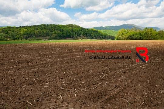 3 WhatsApp Image 2026-06-18 at 5.02. 37 PM (2). jpeg