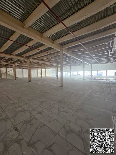 Showroom in affitto a Al Jurf, Ajman - WhatsApp Image 2026-08-08 at 11.27. 23. jpeg Showroom in affitto a Al Jurf, Ajman - WhatsApp Image 2026-08-08 at 11.27. 23. jpeg