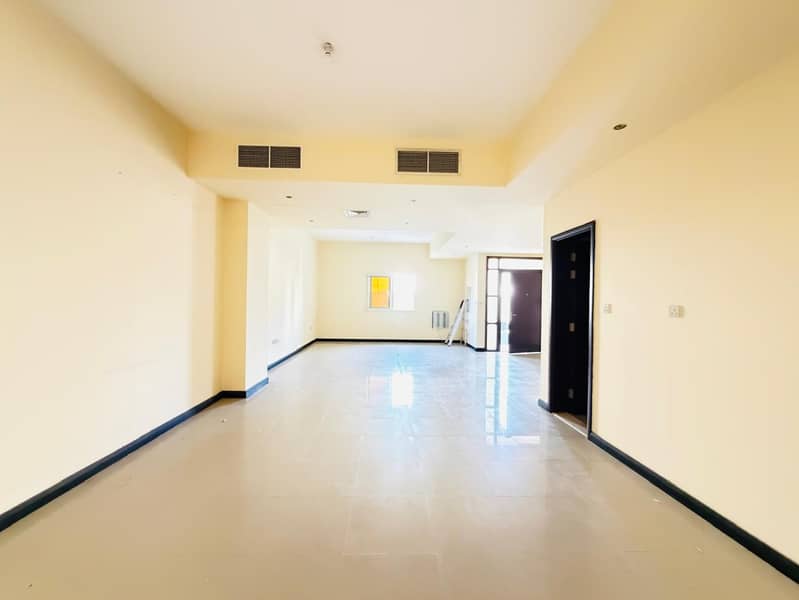 6 115599. jpg