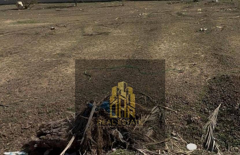 10 1000280195. jpg