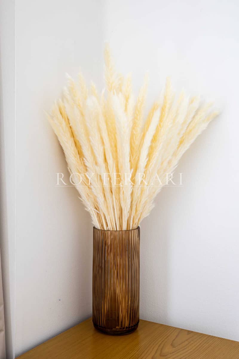 66 The Torch-79. jpg
