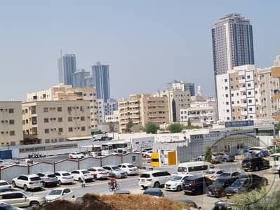 1 Bedroom Flat for Rent in Al Nakhil, Ajman - WhatsApp Image 2026-08-08 at 10.54. 29 AM (1). jpeg 1 Bedroom Flat for Rent in Al Nakhil, Ajman - WhatsApp Image 2026-08-08 at 10.54. 29 AM (1). jpeg