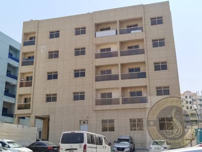 1 Bedroom Apartment for Rent in Al Nakhil, Ajman - WhatsApp Image 2026-08-08 at 10.54. 20 AM. jpeg 1 Bedroom Apartment for Rent in Al Nakhil, Ajman - WhatsApp Image 2026-08-08 at 10.54. 20 AM. jpeg